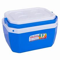 Caixa Térmica 17L Para Mount