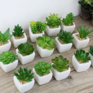 Mini Arranjo de |Suculenta Dcasa Plástico 5cm